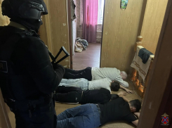 «Ребята, не надо»: лицом в пол уложили силовики цыган под Волгоградом