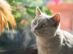  28 апреля в Волгоградской области будет дождливо и ветрено