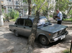Дерево рухнуло на припаркованную «семерку» в Кировском районе Волгограда
