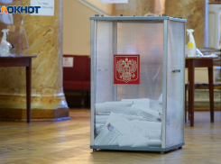 Единственную фамилию вычеркнут из отпечатанных для волгоградцев бюллетеней на выборах в Госдуму
