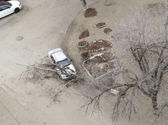 «Подарок» на новый год: на севере Волгограда дерево упало на припаркованный автомобиль