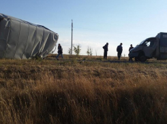 В Камышине «УАЗ» протаранил «Газель»: 3 пострадали