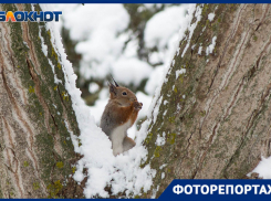 По-настоящему зимний Волгоград показал фотограф