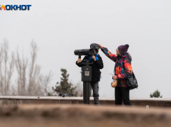 Потепление до +18: приятное воскресенье ждет волгоградцев