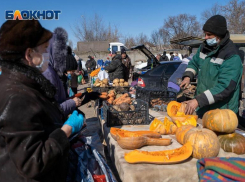 Цены на капусту и картофель бьют рекорды в Волгоградской области 