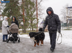 Потепление до +4 и коварный лед под лужами: синоптики сохранили желтый уровень опасности для Волгограда