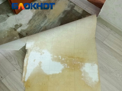 Пятилетняя борьба с дырявой крышей довела волгоградца: он срывает обои и линолеум 