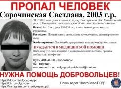 Полиция и волонтеры возобновили поиски без вести пропавшей под Волгоградом 16-летней девочки