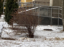 Экспресс-снегопад подразнил волгоградцев и исчез