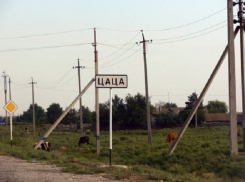 За что одно из сел Волгоградской области назвали Цацой
