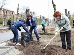 В Волгограде депутаты выйдут на субботник