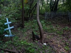 Волгоградская область вымирает со скоростью 10 тысяч человек в год