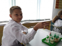 Стоимость путевок за детские лагеря в Волгоградской области вернут родителям