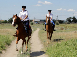 Жителей Волгограда приглашают на прогулку с казаками по новому туристическому маршруту