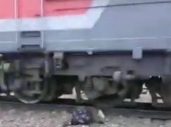 В Волгоградской области под поездом погибла местная жительница