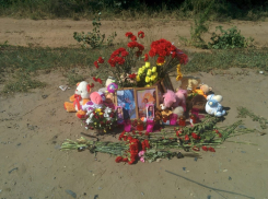 Родные погибшей семьи под колесами авто единоросса Булатова взяли деньги и претензий не имеют