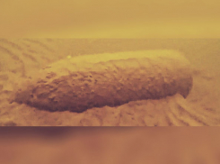 Бомбу нашли на дне реки возле популярного пляжа Бобры