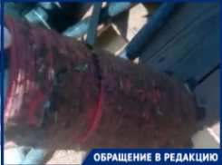 Волгоградские фермеры рассказали, как в дикую жару воюют за поливную воду