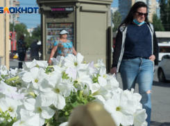 Легкий ветерок спасет волгоградцев от тридцатиградусной жары в понедельник