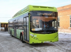 Городские автобусы Волгограда подкорректировали свои маршруты