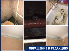 «Одно лечим, другое - калечим»: слесари устранили засор дырой в трубе в Волгограде