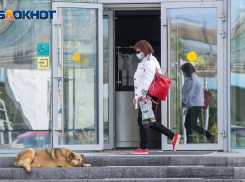 Еще два человека умерли и 106 заразились коронавирусом в Волгоградской области 