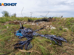 25 лет тюрьмы на двоих получили закопавшие гостя на дачном участке волгоградцы 