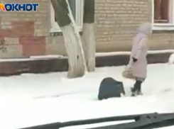 Выгуливающую телевизор на проводе женщину сняли на видео в Волгограде