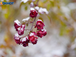 12-градусные морозы идут на Волгоградскую область