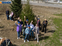 В Волгограде журналисты с детьми высадили деревья в ЦПКиО