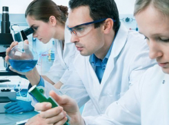 Под Волгоградом в школах кормили некачественными сосисками