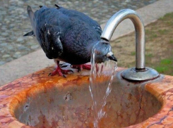 Рекордная жара придет в Волгоград 2 мая