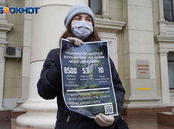 Волгоградки вышли к обладминистрации на пикеты против вырубки дубов в Волго-Ахтубинской пойме