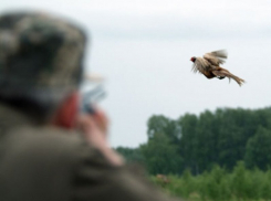 В Волгоградской области завершена охота на пернатую дичь