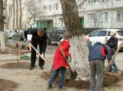 Депутат Волгоградской гордумы взял в руки грабли