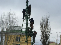 В Волгограде начали устанавливать уличную новогоднюю елку