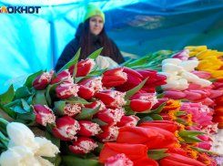 Летняя резина и набор рыбака: волгоградки назвали самые необычные подарки к 8 марта 