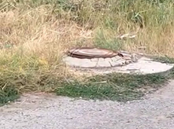 Волгоградский бизнес обвинил концессии водоснабжения в мошенничестве с анализами 