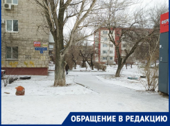 «Старую снесли, новую не поставили»: мамы и дети ждут транспорт под дождем и снегом в Волгограде