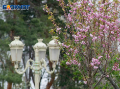 В Волгоградской области потеплеет до +22