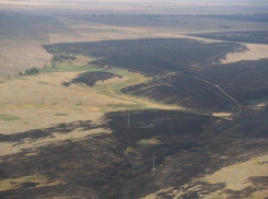 В Волгоградской области снова ждут усиления ветра и пожаров