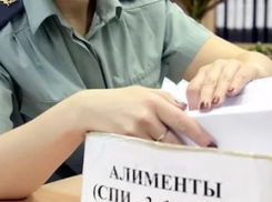 Приставы посадили волгоградца под арест, чтобы заставить заплатить алименты