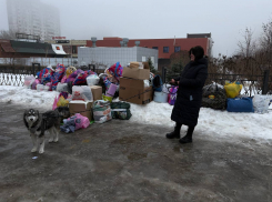 Отдать старые джинсы и сковородки на доброе дело смогут в Волгограде 7 марта