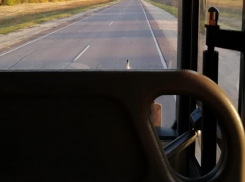 Стало известно, по каким маршрутам будут ездить дачные автобусы в Волгограде