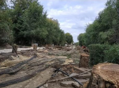 По приказу властей начато уничтожение аллеи на центральной набережной Волгограда
