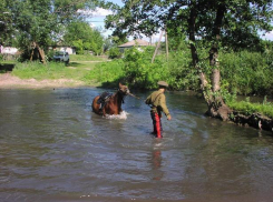 Власти крохотного района Волгоградской области «вбухивают» миллион в тротуарную плитку
