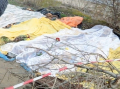 Власти предложили закопать найденные останки защитников Сталинграда обратно, - волгоградцы