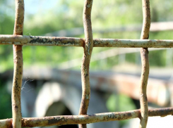 Тело молодого человека нашли в колонии Волгоградской области