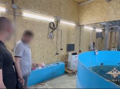 Бассейн с элитными осетрами нашли в волгоградском автосервисе — видео