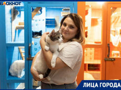«Лапку и хвост оторвало, выбрасывают без когтей»: жители Волгограда массово избавляются от кошек — кто их спасает
